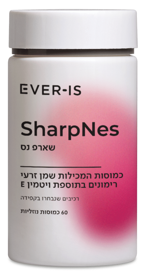 SharpNes – מארז זוגי