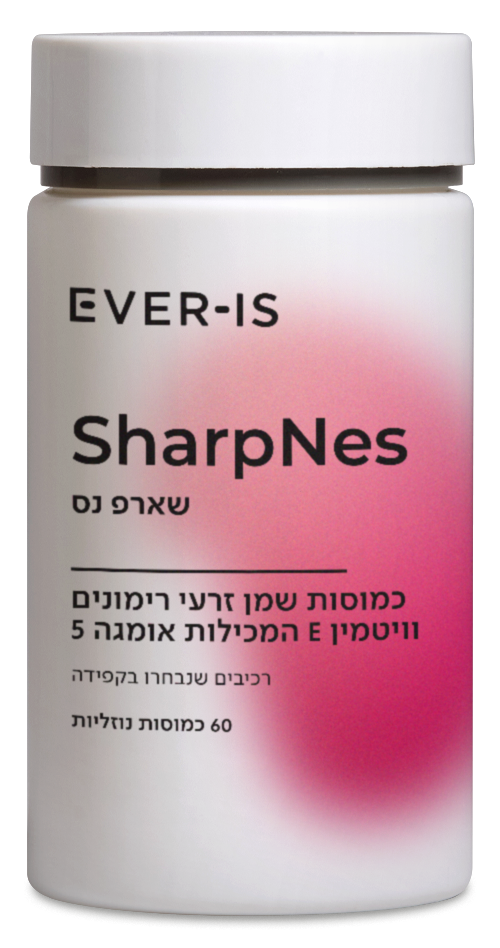 SharpNes