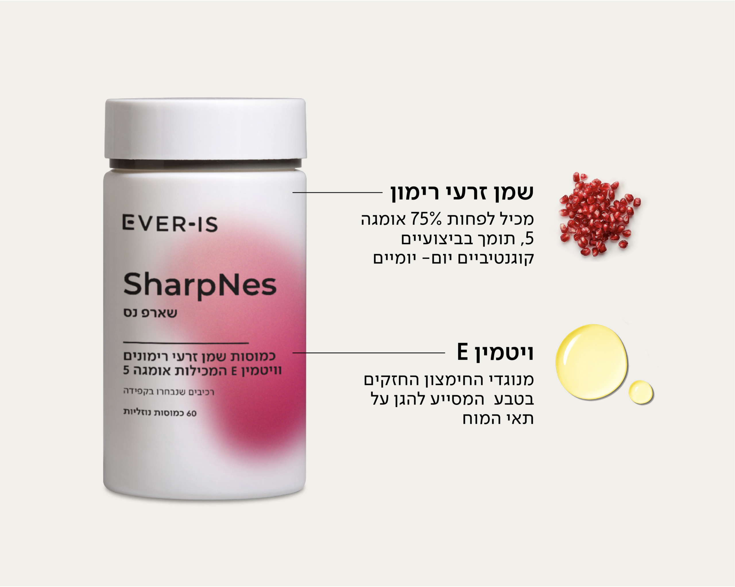 SharpNes